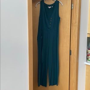Tea Jumpsuit never been worn